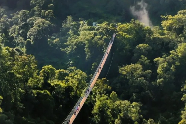 Panorama Kebun Teh Rancabali