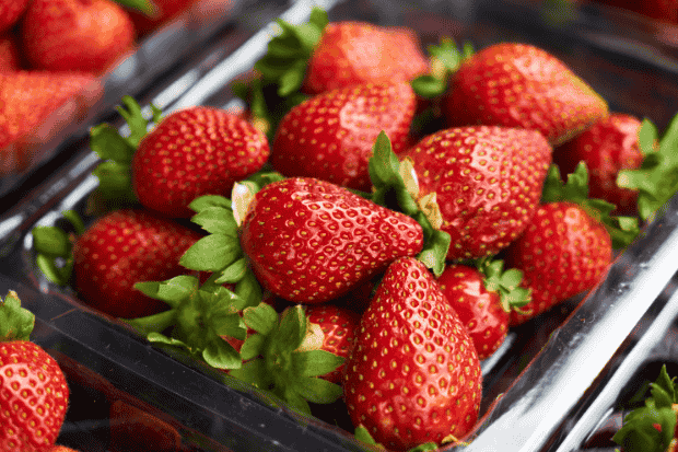 Apakah Strawberry Termasuk Buah Berry