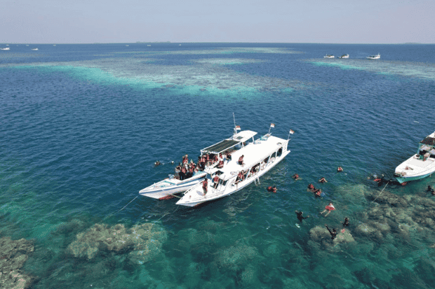 Diving di Karimunjawa