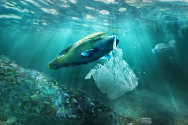 Solusi mengurangi penggunaan plastik