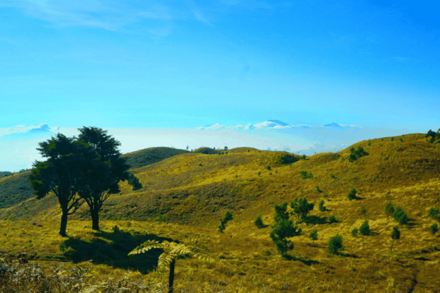 Apa yang Paling Terkenal Pada Gunung Prau