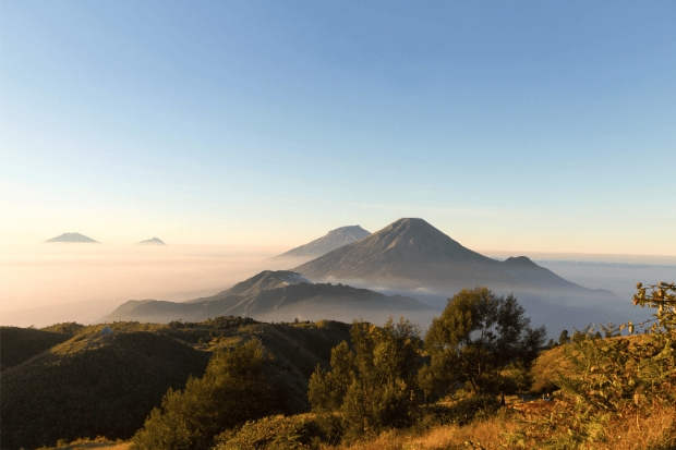 Apakah Gunung Prau Pemula Friendly