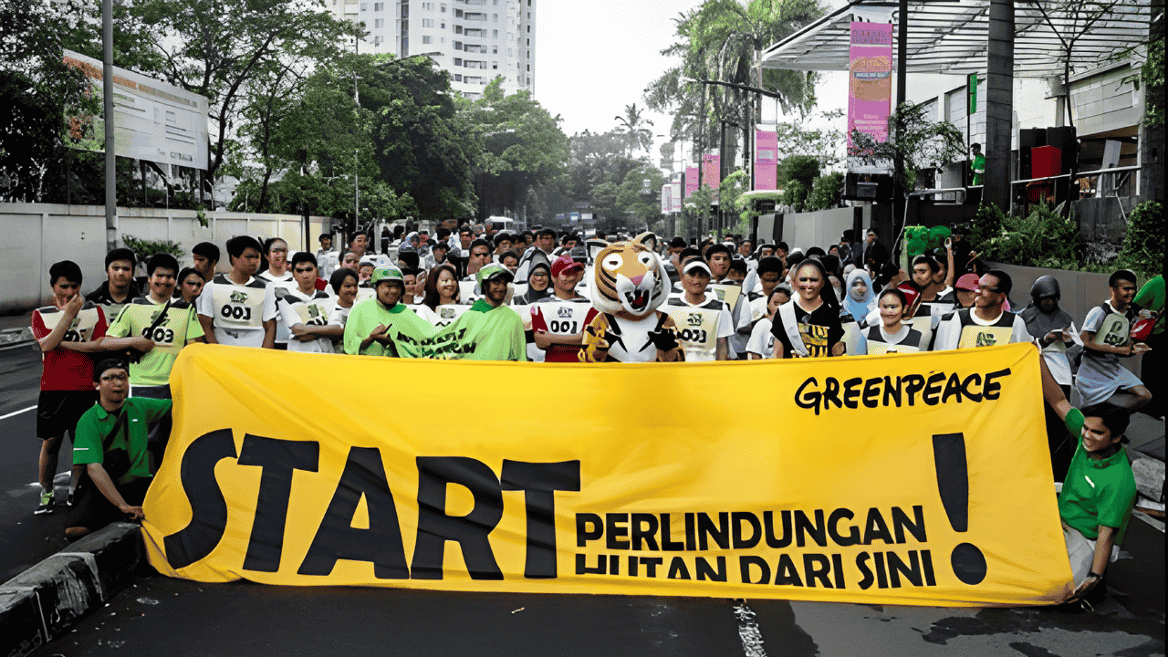 Bukan Sekadar Protes Mengintip Rahasia Kerja Greenpeace dan Solusi Lingkungan di Indonesia