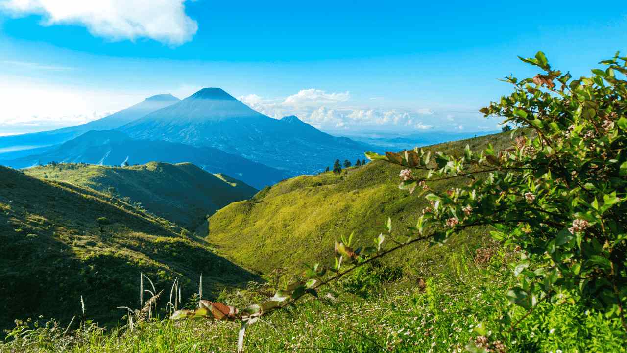 Gunung Prau, Panduan Mendaki untuk Pemula